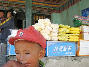 Pioniertour 1, China - Tibet (Chengdu-Lhasa) - Foto 79